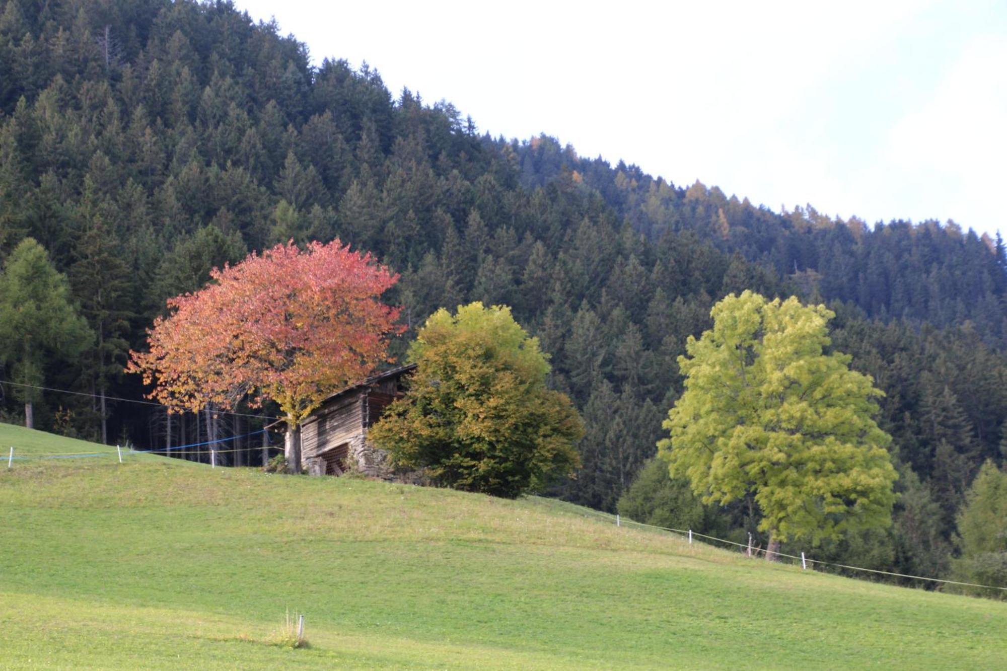 ホテル Gasthof Walde リフィアーノ エクステリア 写真